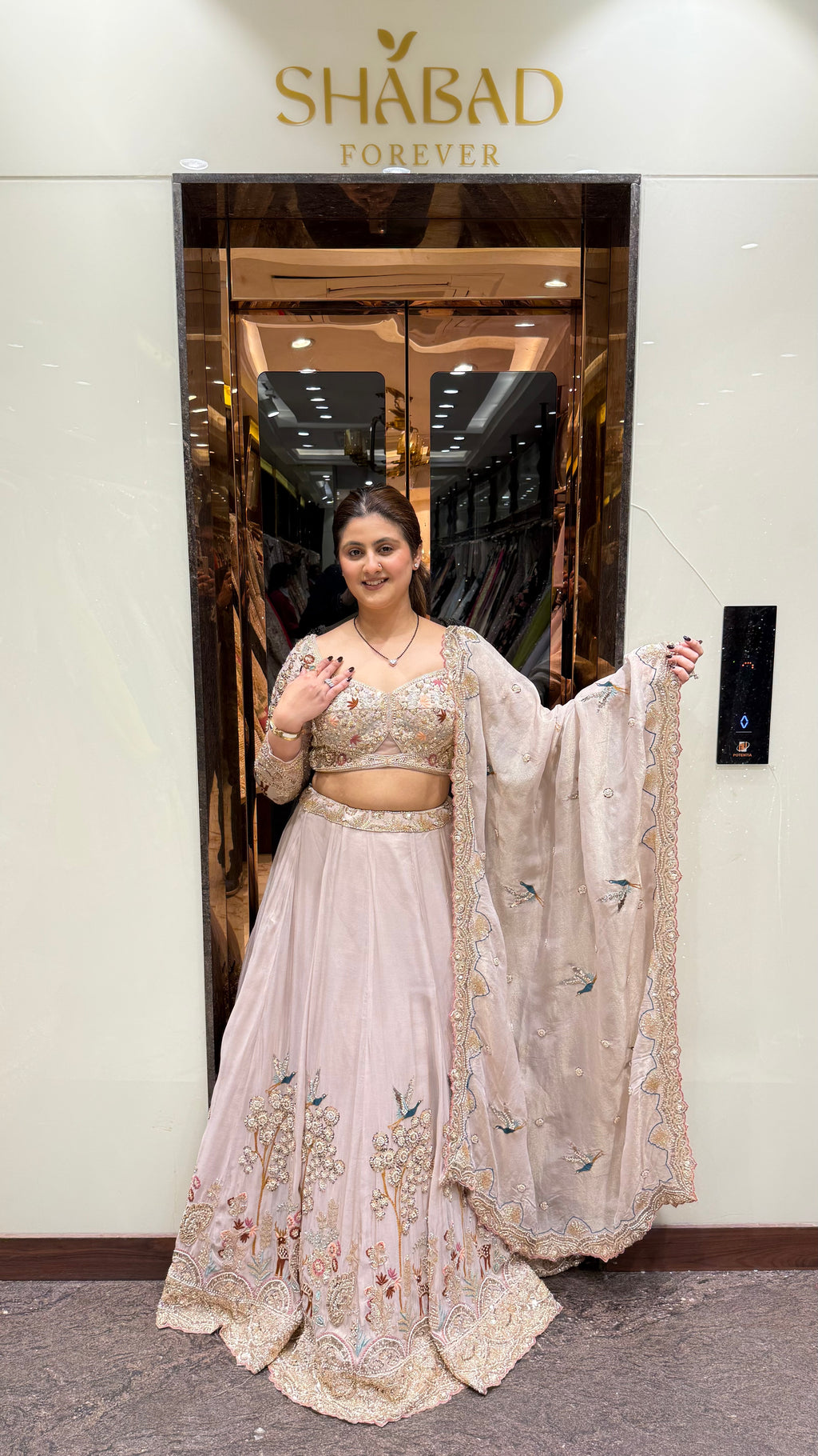 Raaniya Pastel Hand Emboidered Lehenga