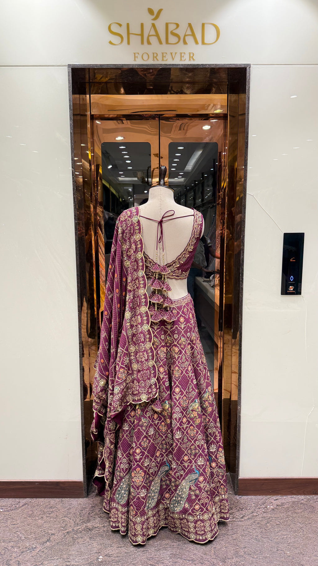 TARA WINE LEHENGA