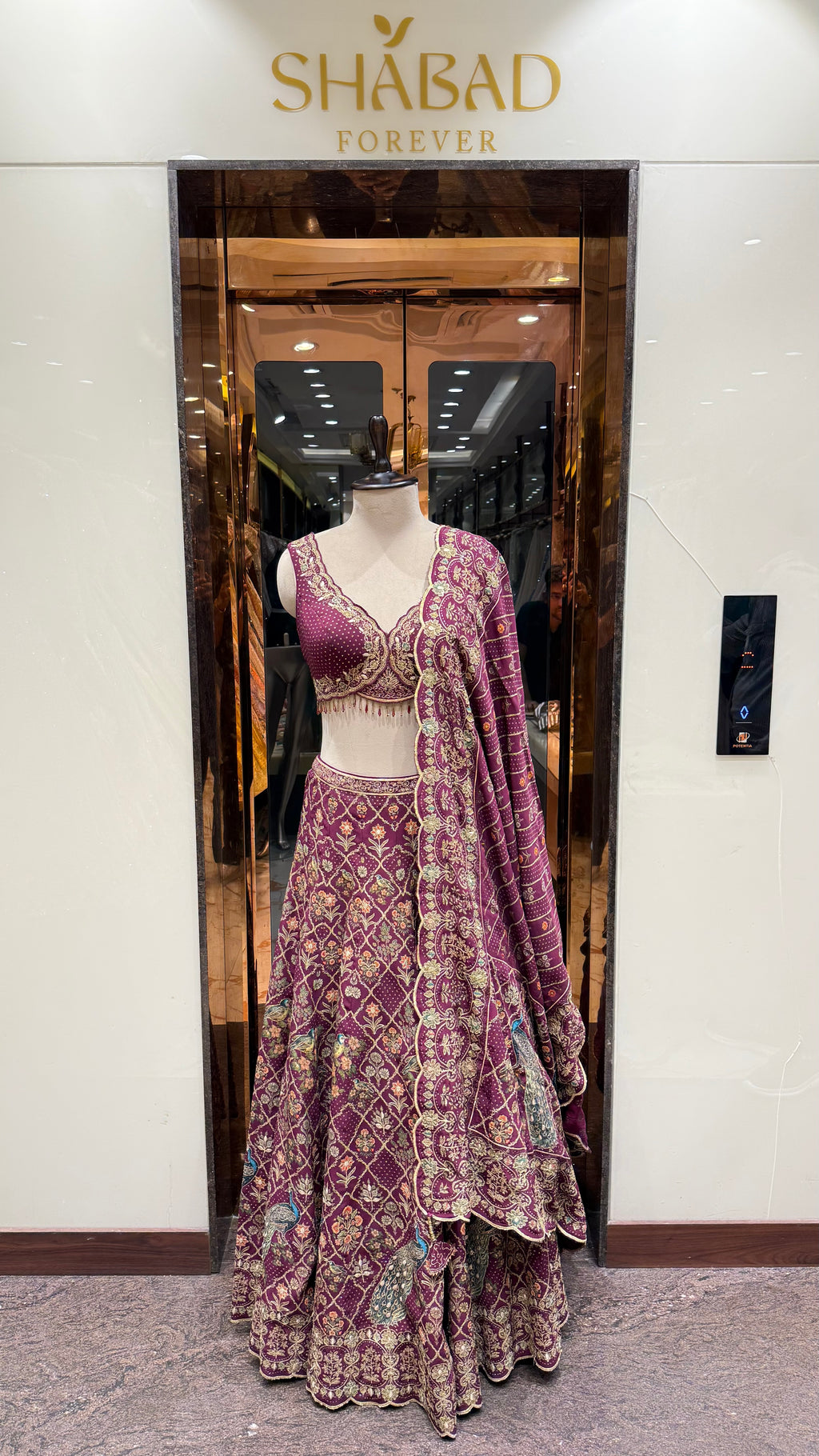 TARA WINE LEHENGA