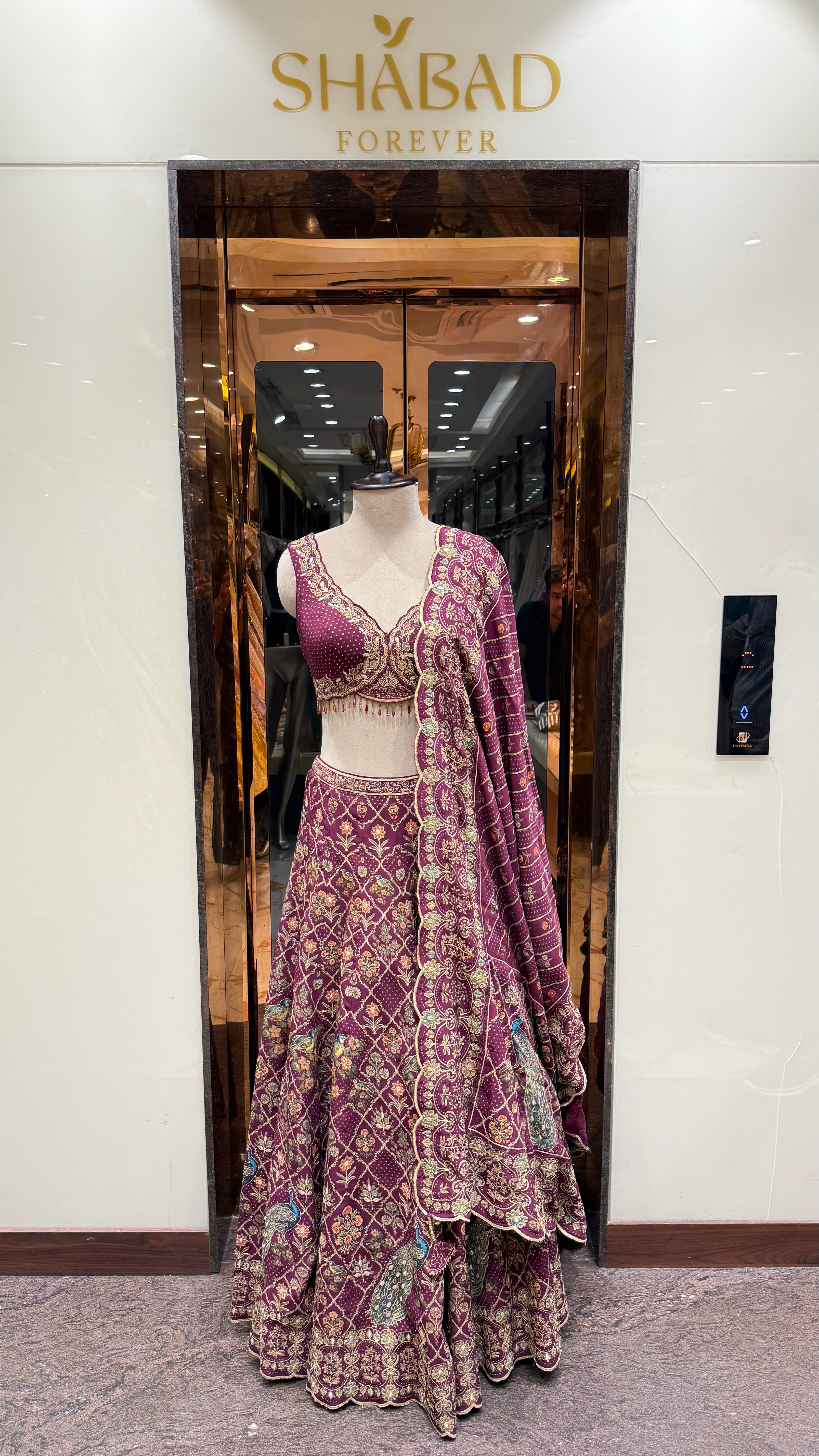 TARA WINE LEHENGA